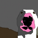 Avatar of user FuniGuy