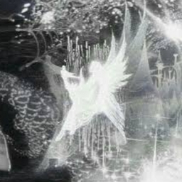 Avatar of user ☆ kidsuki (timeout)