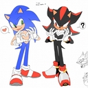 Avatar of user lilylovebirds