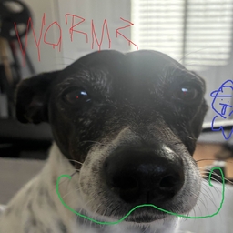Avatar of user awesomeproducermillydogs1234