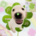 Avatar of user hopl3z!
