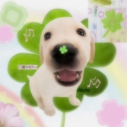 Avatar of user hopl3z!
