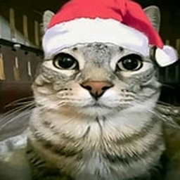 Avatar of user Yennyイェニー