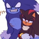 Avatar of user sonic and shadow account