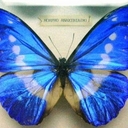 Cover of album katy perry  by shadow and sonic