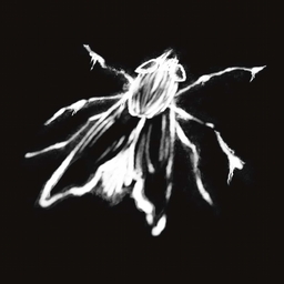 Avatar of user Fly On The Wall