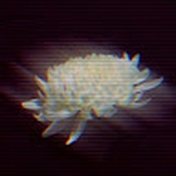 Avatar of user Cold-In-Summer