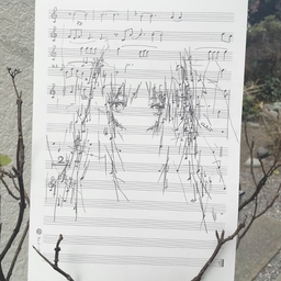 Avatar of user noah