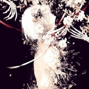Avatar of user @elow